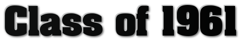61 logo