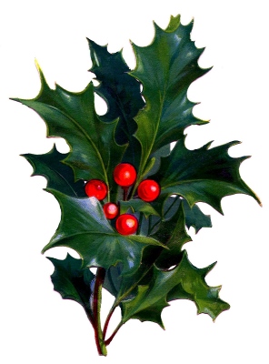 Victorian Holly flipped