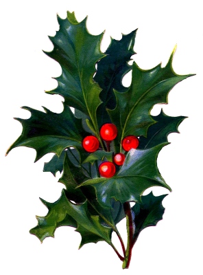 Holly left